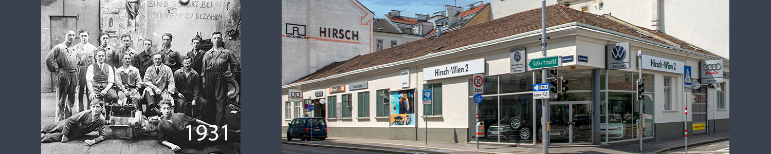 Hirsch Wien 2; Fotos: Manfred Motal